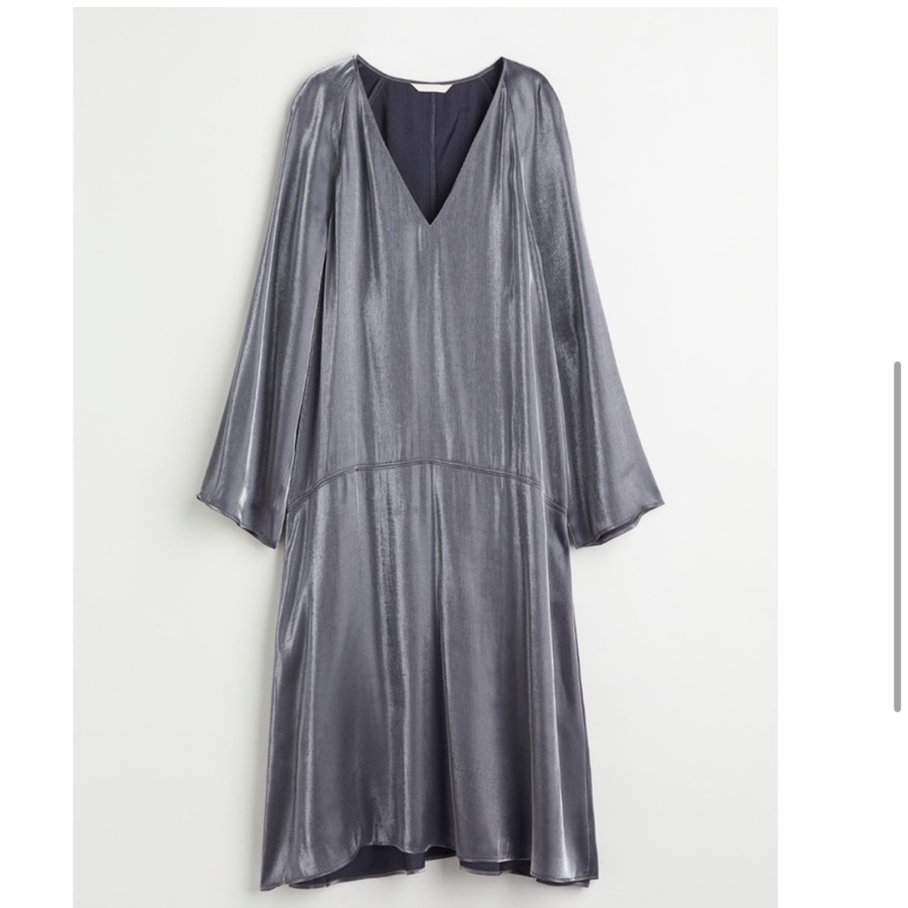 NWOT H&M • Bias Cut Drop Waist Dress • L